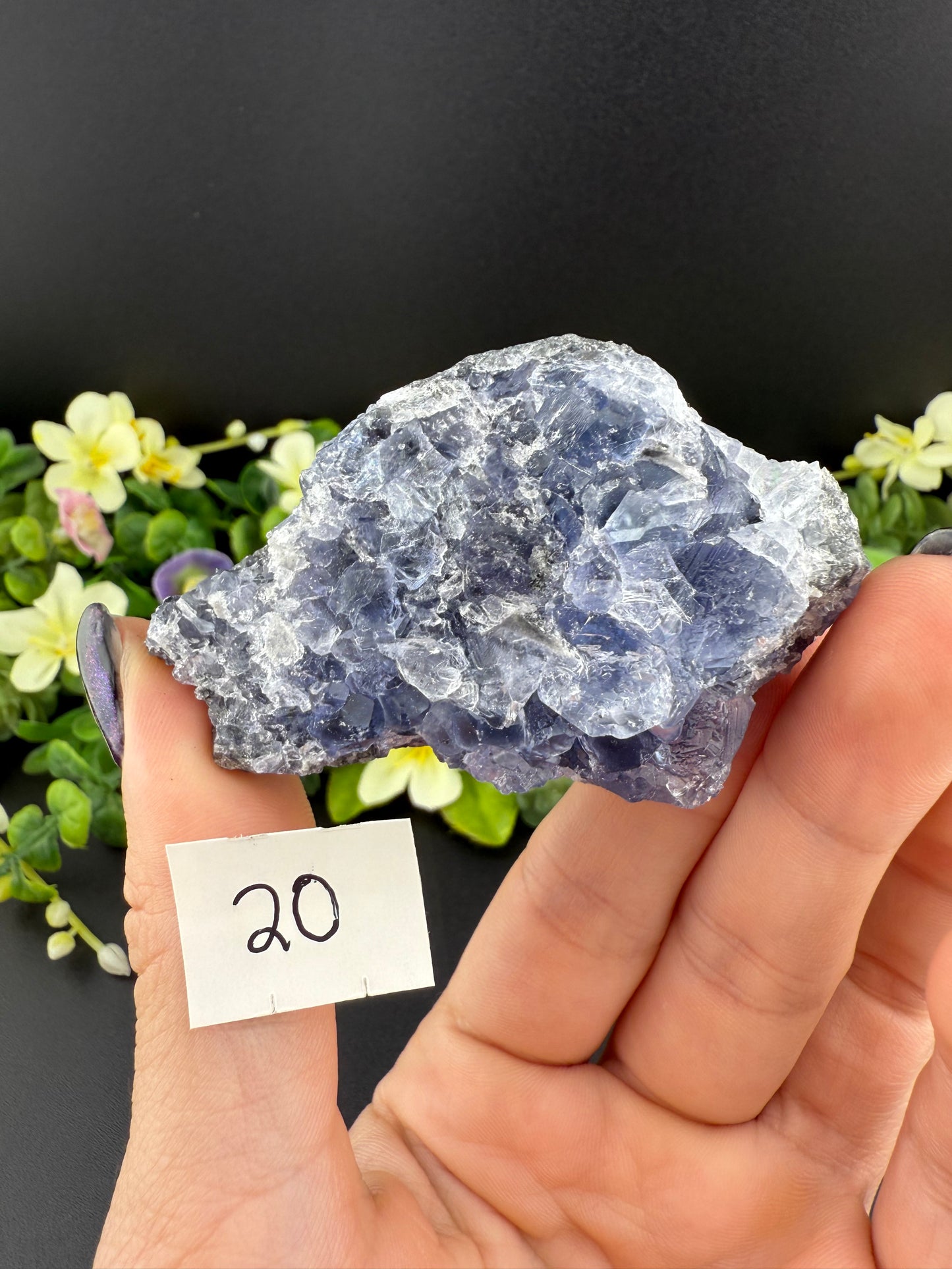 Tanzanite Fluorites