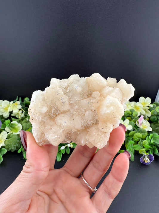 Big Peach Stillbite Specimen
