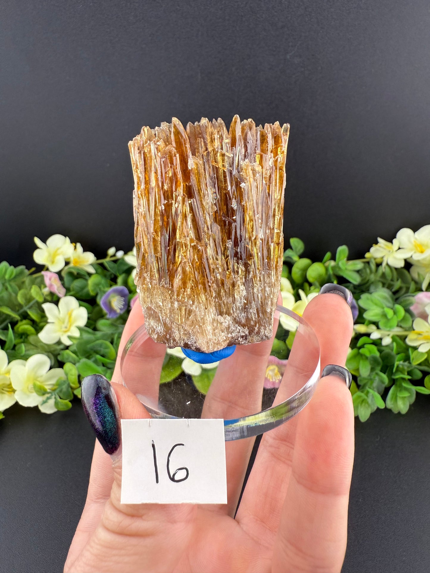 Amber Calcites