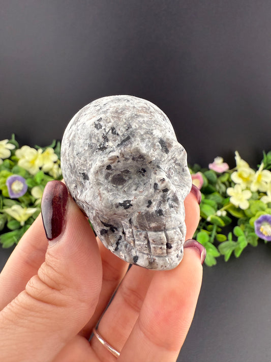 Yooperlite Skull