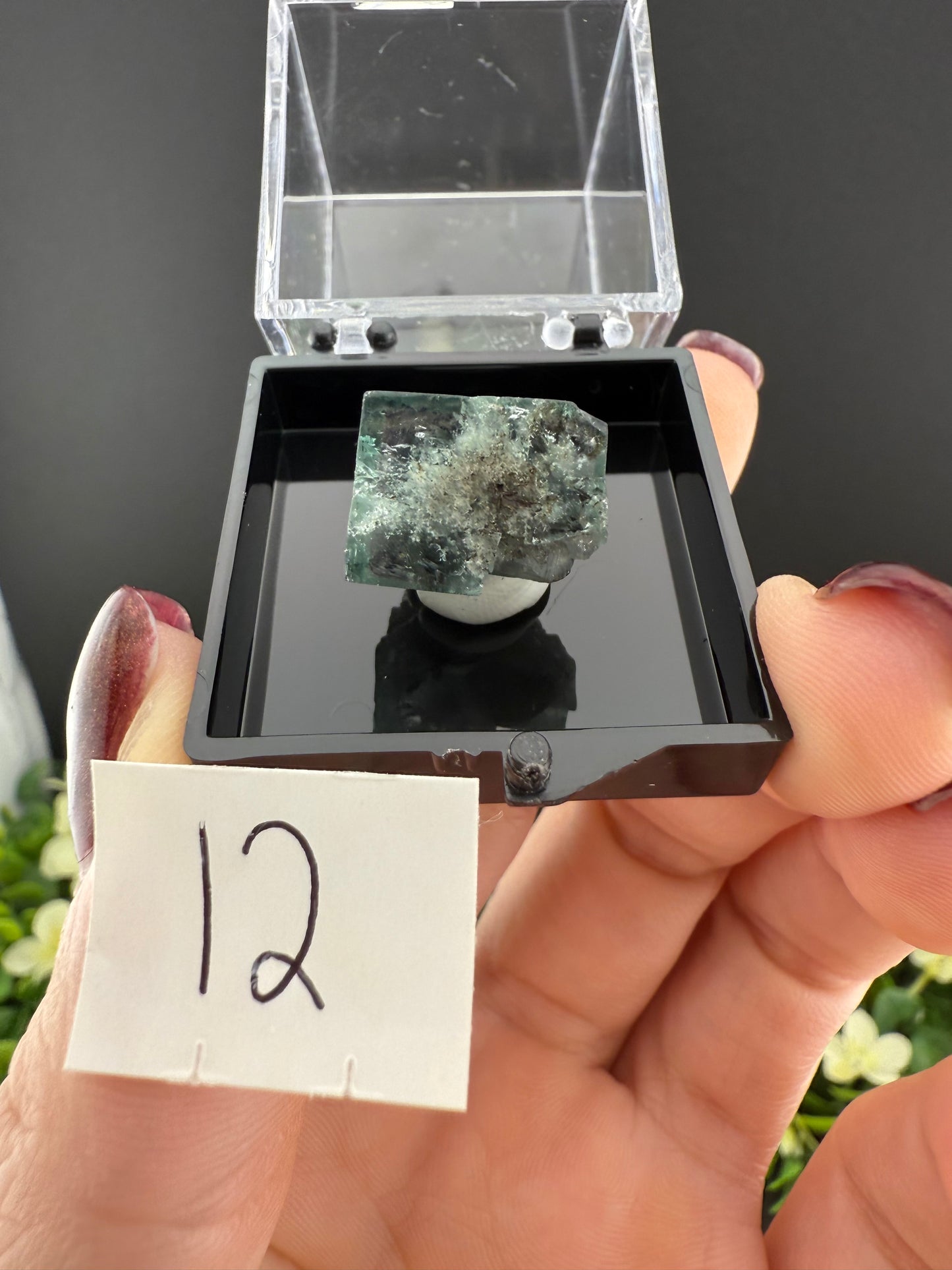 Milky Way Fluorites