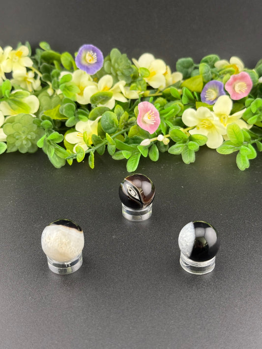 Mini Black Agate Spheres