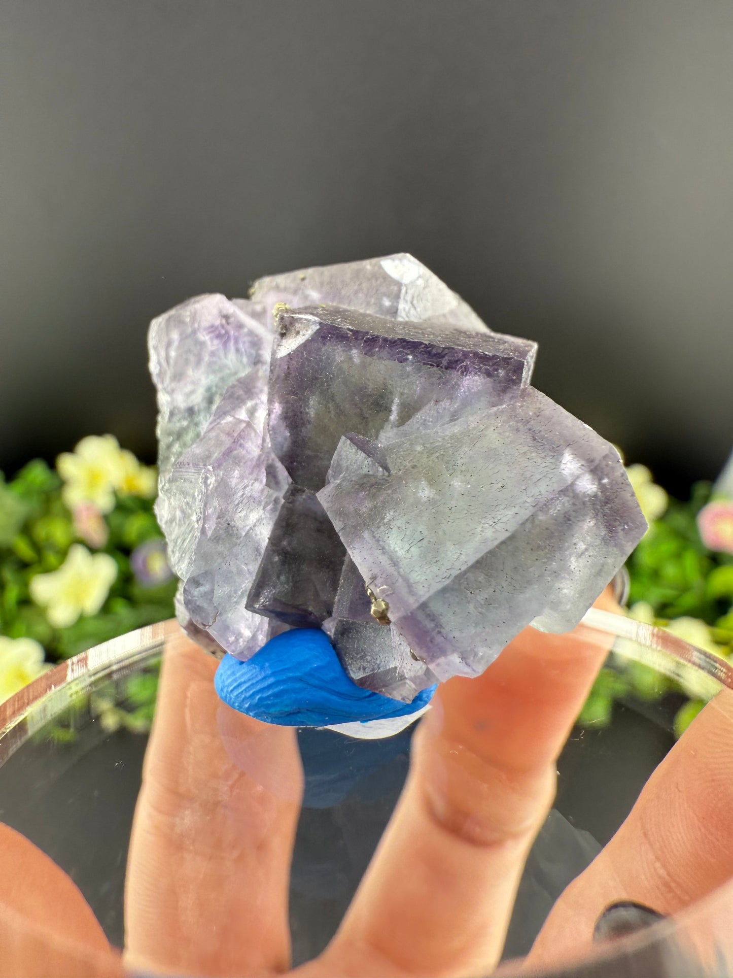 YGX Fluorite