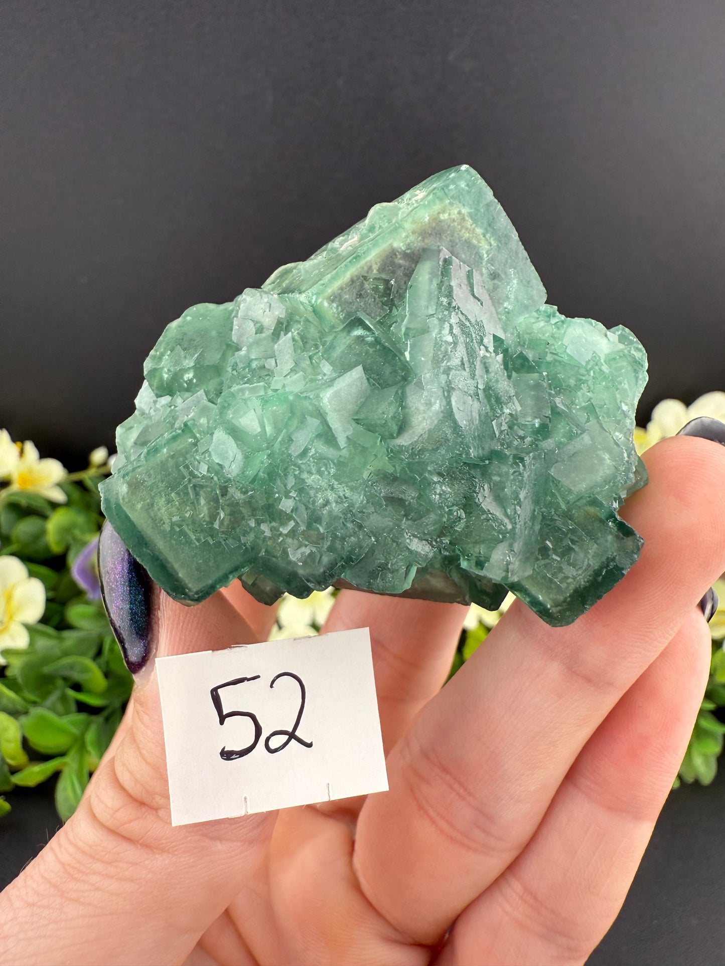 Daylight Fluorite Clusters