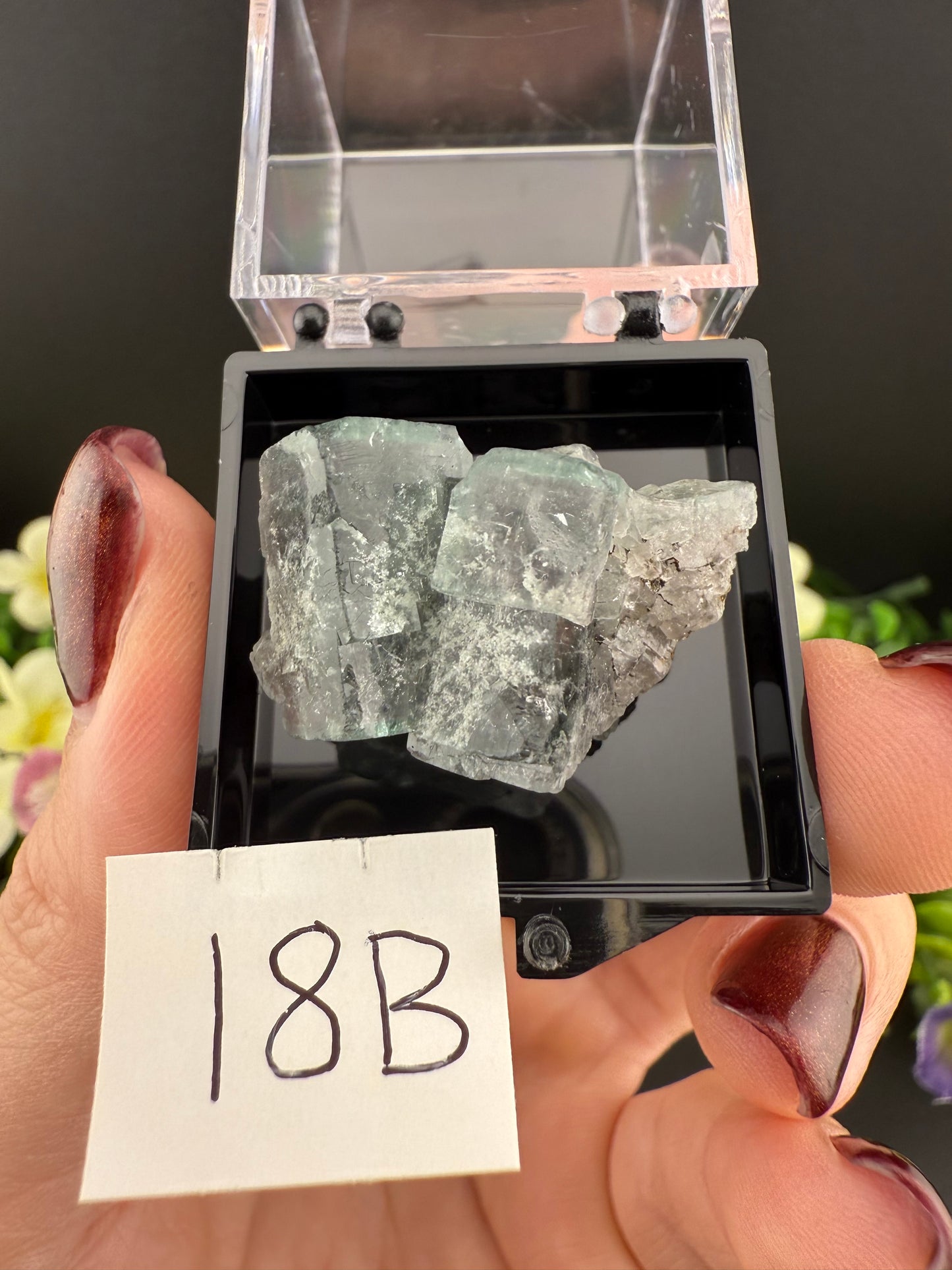 Milky Way Fluorites