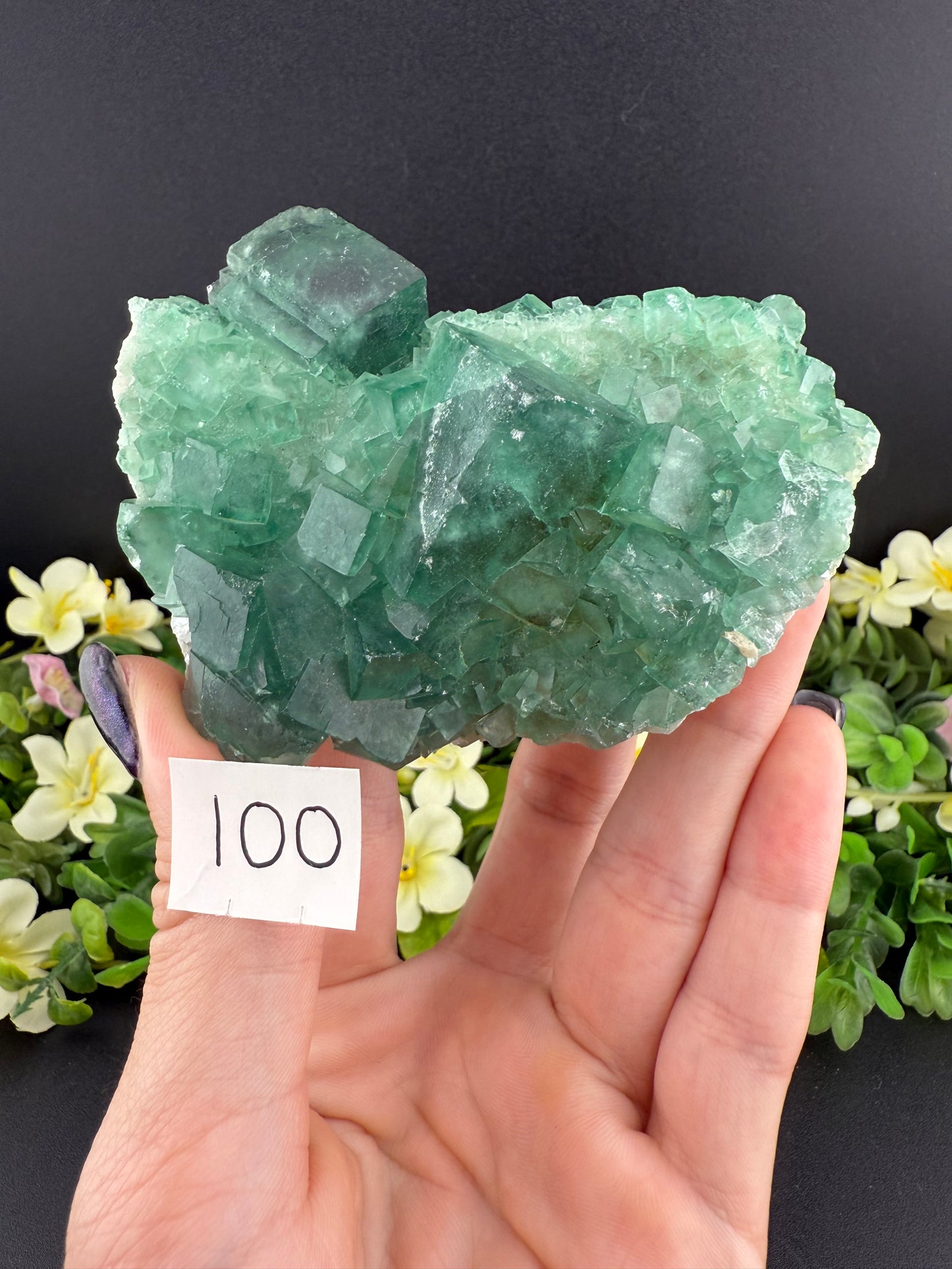 Daylight Fluorite Clusters