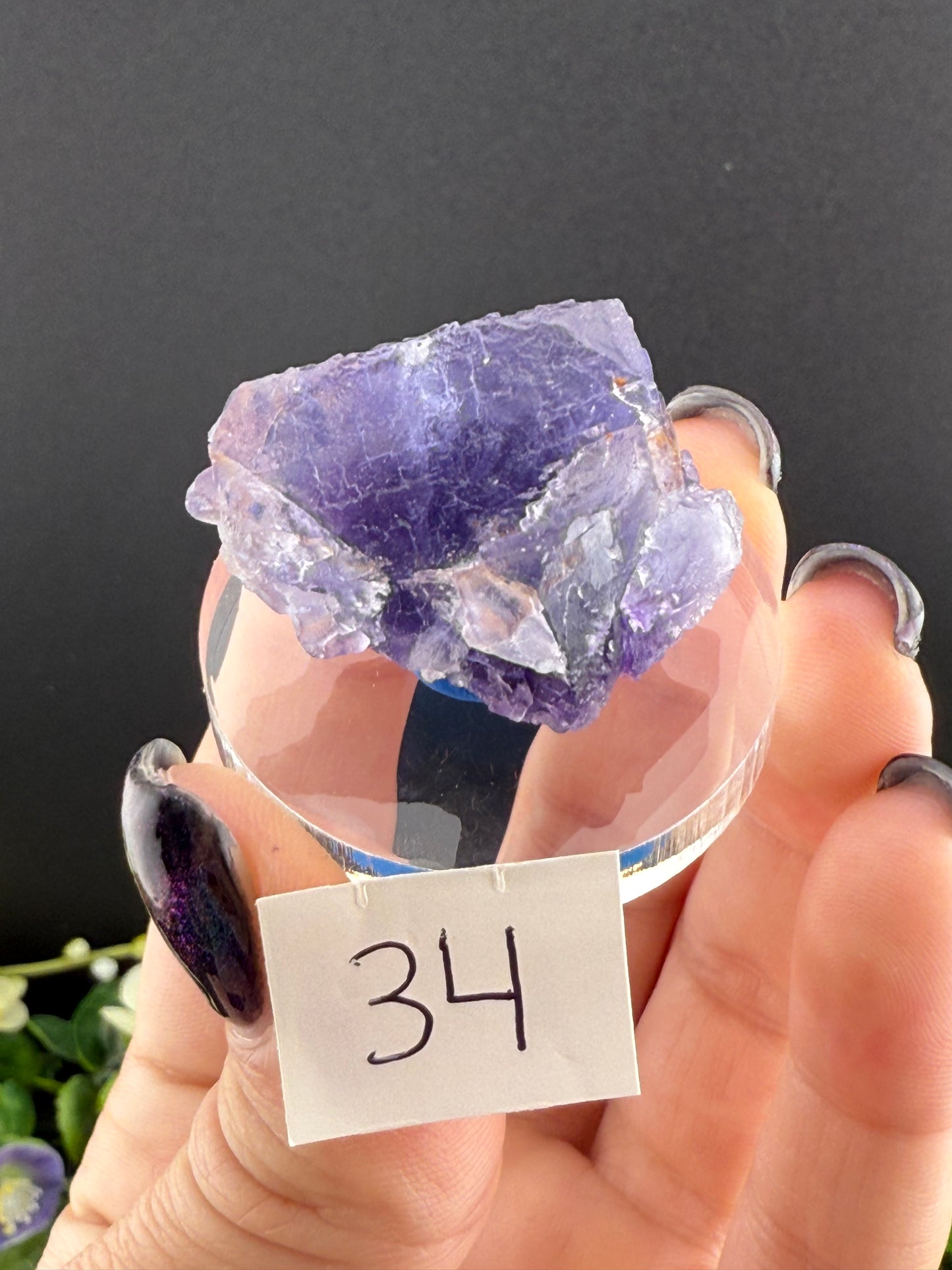 Blue Petroleum Fluorites