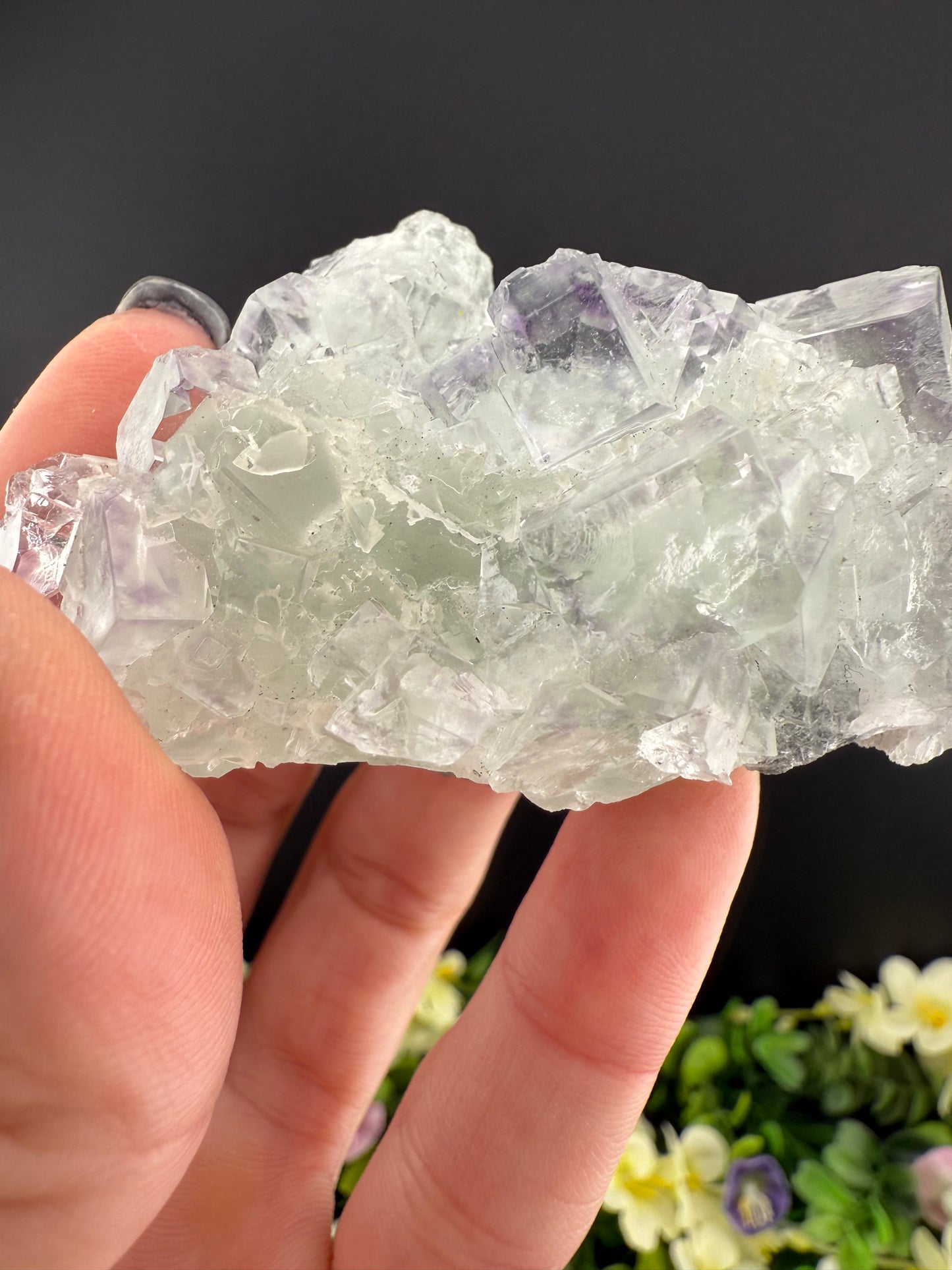 XHL Fluorite with Purple Phantoms