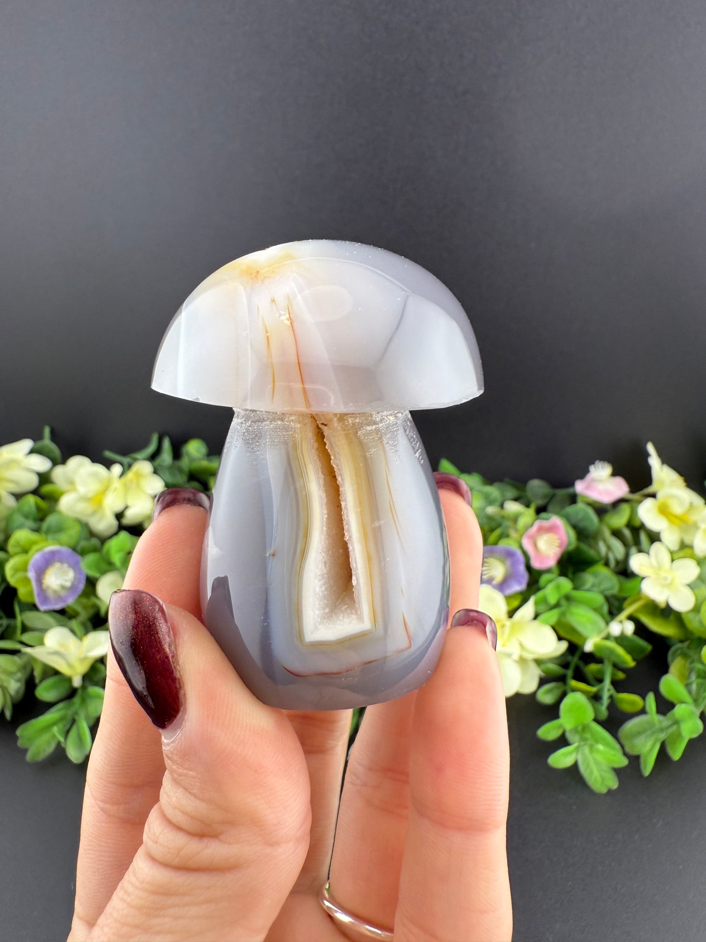 Druzy Orca Agate Mushroom