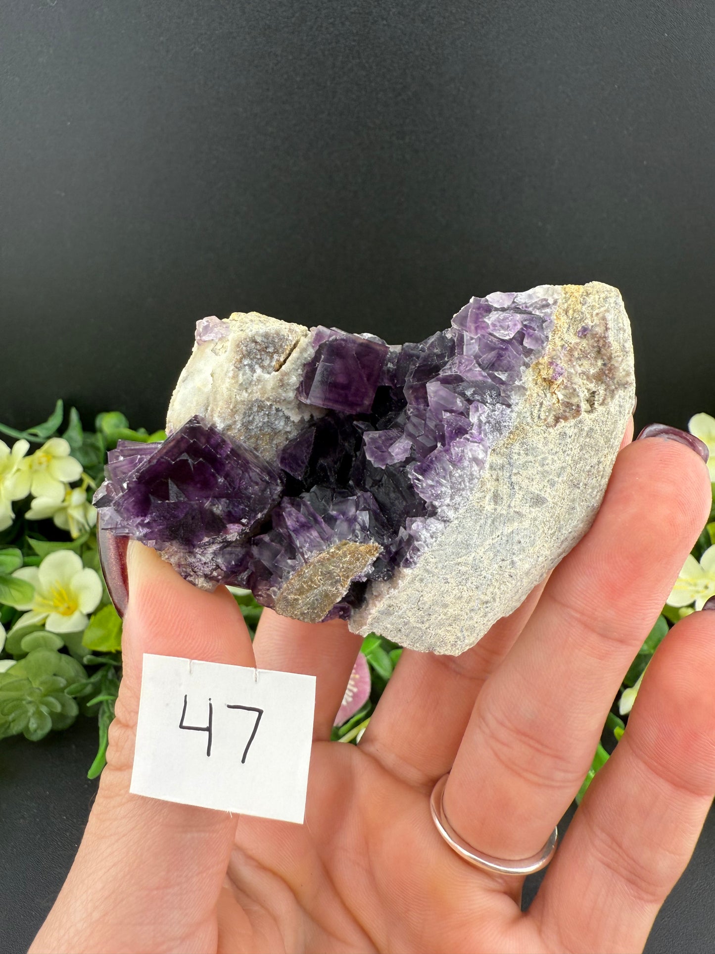 Purple “Window” Fluorites