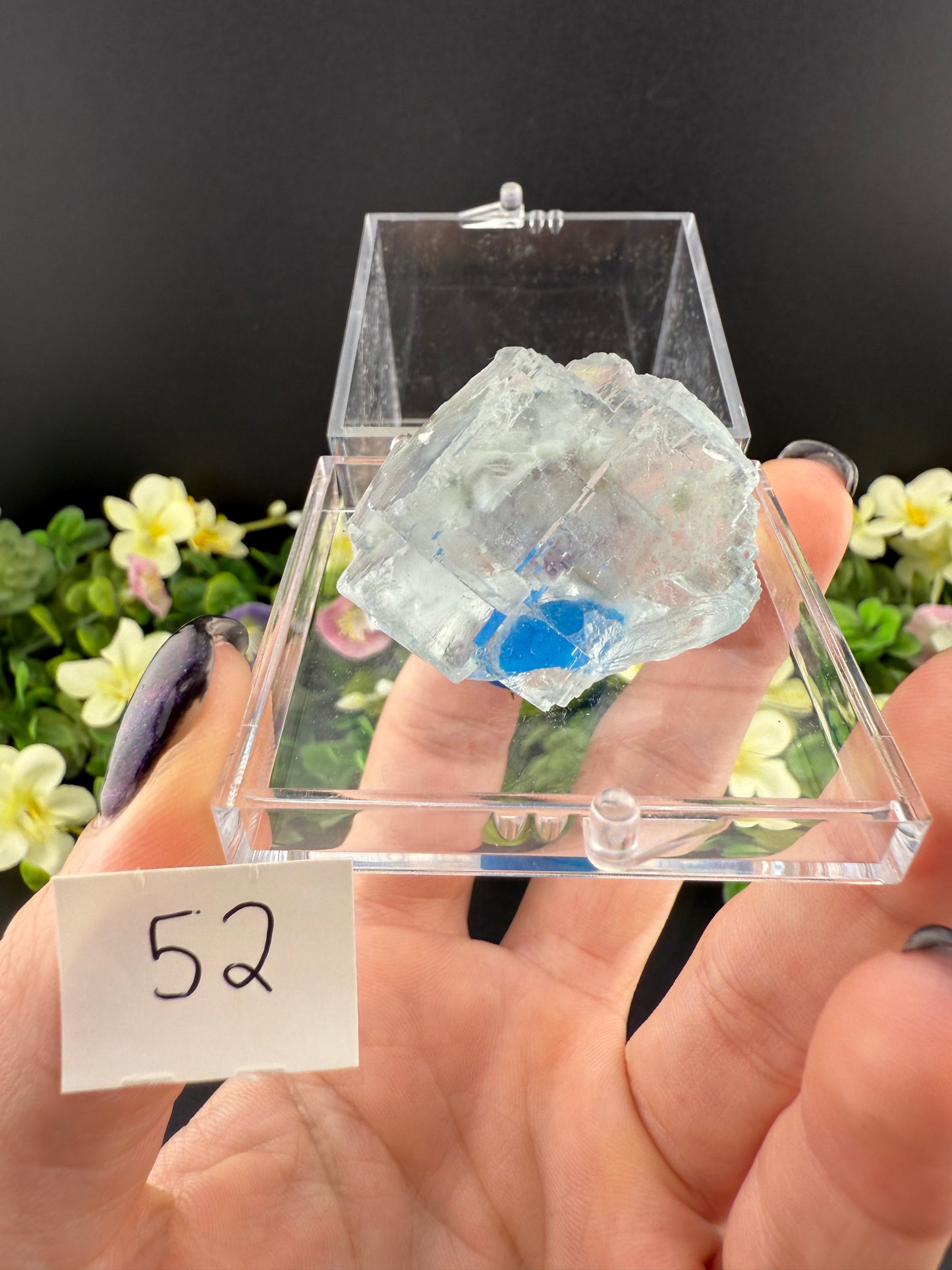 YGX Fluorites (Lot 2)