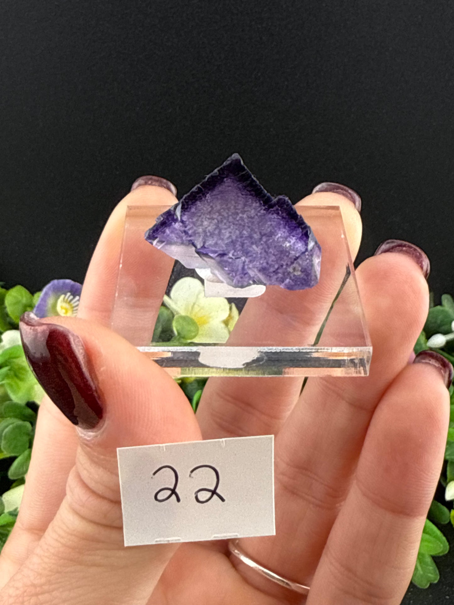 Elmwood Fluorites