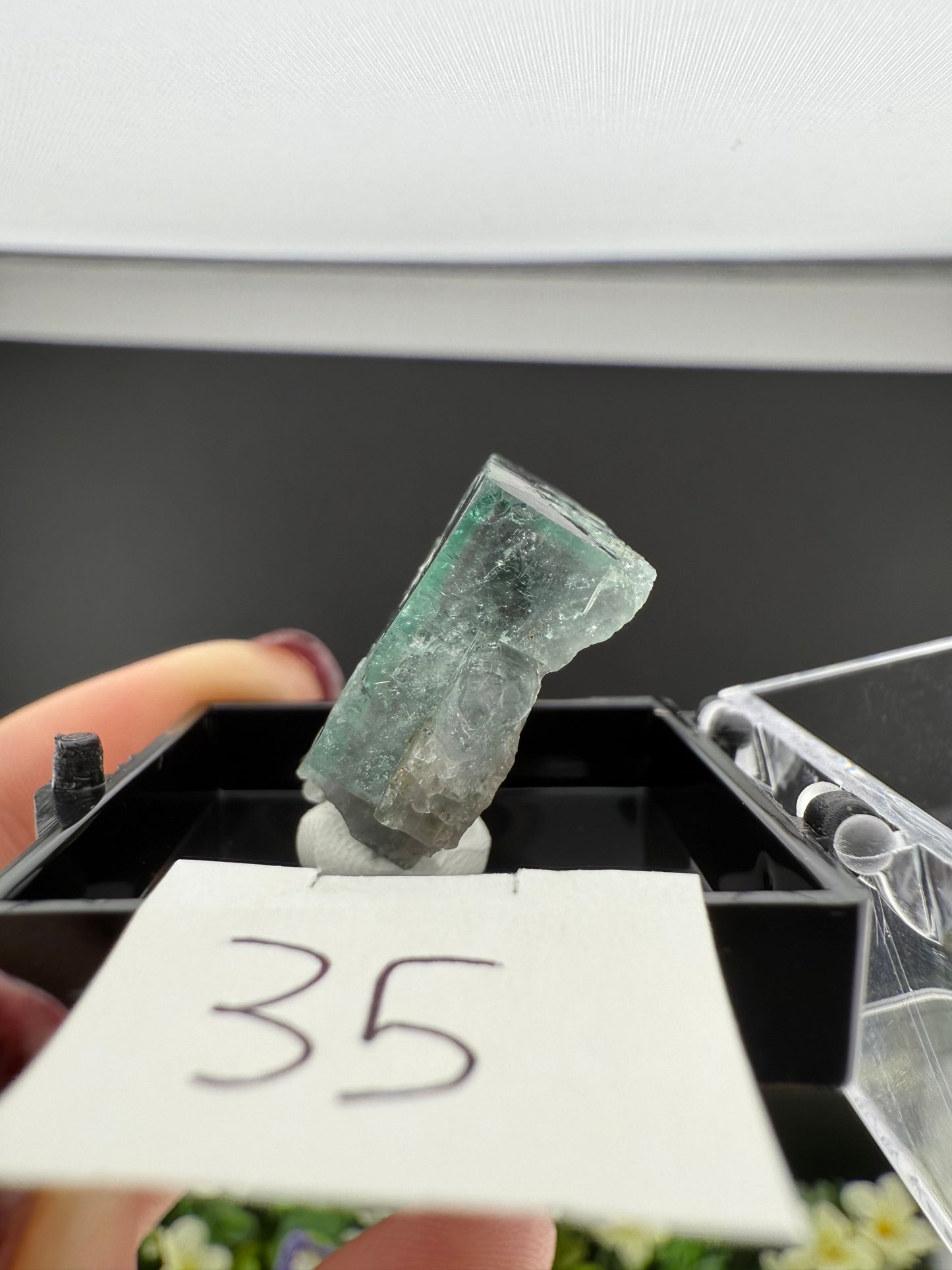 Milky Way Fluorites