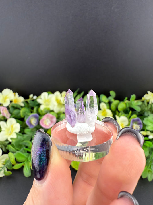 Veracruz Amethyst